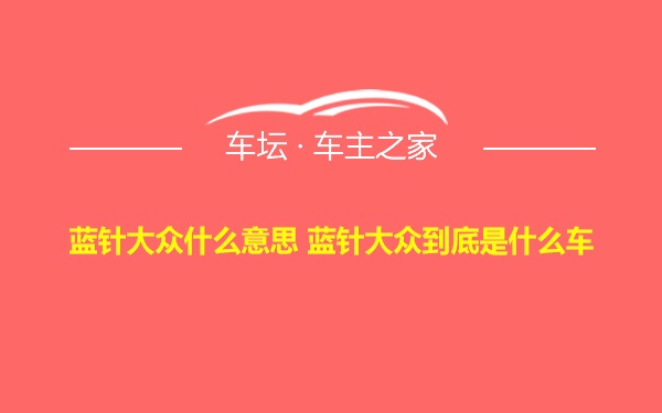 蓝针大众什么意思 蓝针大众到底是什么车