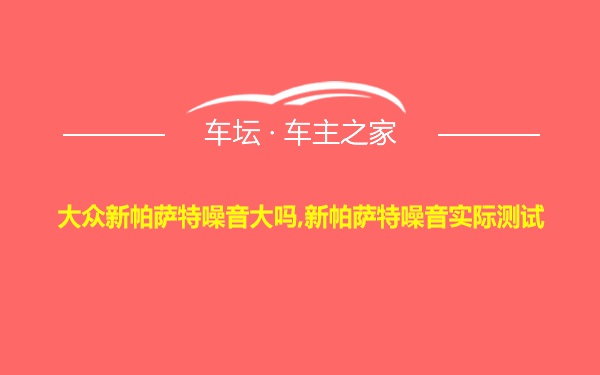 大众新帕萨特噪音大吗,新帕萨特噪音实际测试