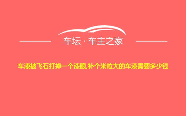 车漆被飞石打掉一个漆眼,补个米粒大的车漆需要多少钱