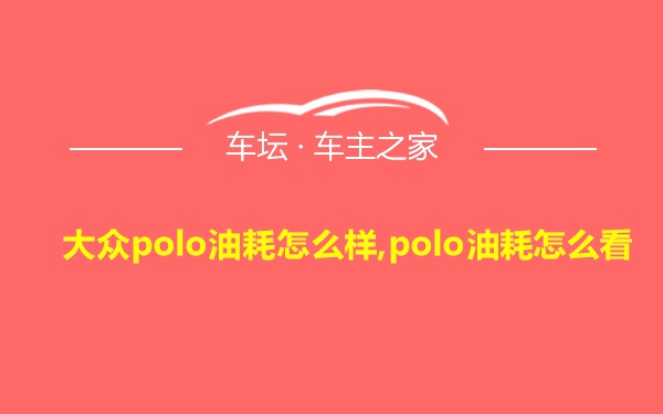 大众polo油耗怎么样,polo油耗怎么看