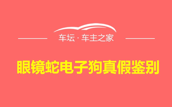 眼镜蛇电子狗真假鉴别