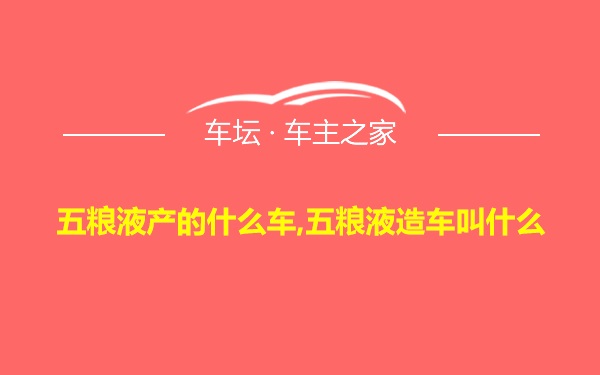 五粮液产的什么车,五粮液造车叫什么
