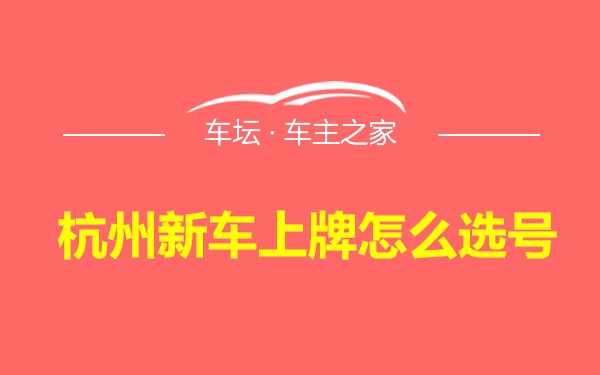杭州新车上牌怎么选号