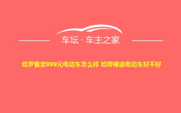 哈罗售卖999元电动车怎么样 哈啰棒途电动车好不好