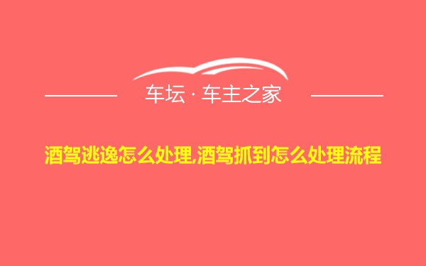 酒驾逃逸怎么处理,酒驾抓到怎么处理流程