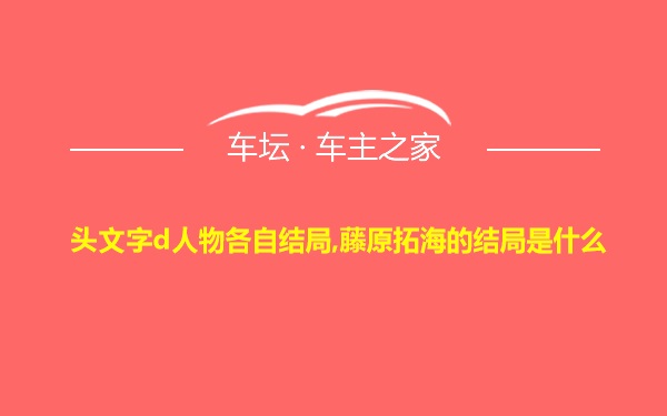 头文字d人物各自结局,藤原拓海的结局是什么