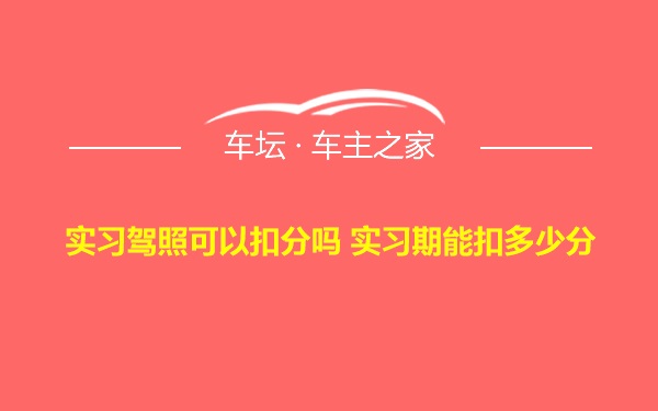 实习驾照可以扣分吗 实习期能扣多少分