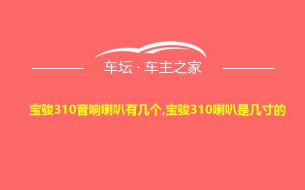 宝骏310音响喇叭有几个,宝骏310喇叭是几寸的