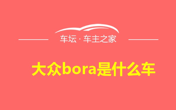 大众bora是什么车