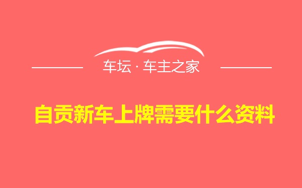 自贡新车上牌需要什么资料