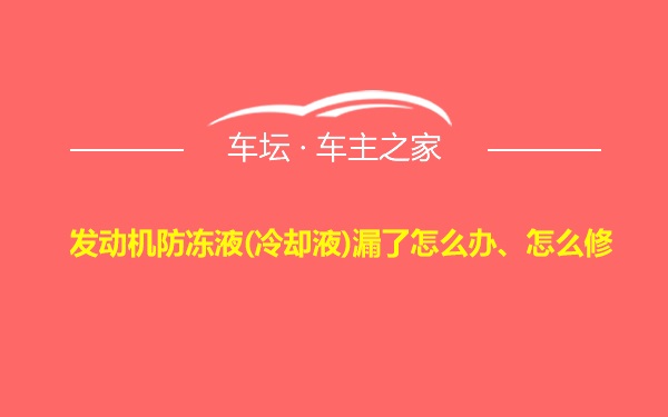 发动机防冻液(冷却液)漏了怎么办、怎么修