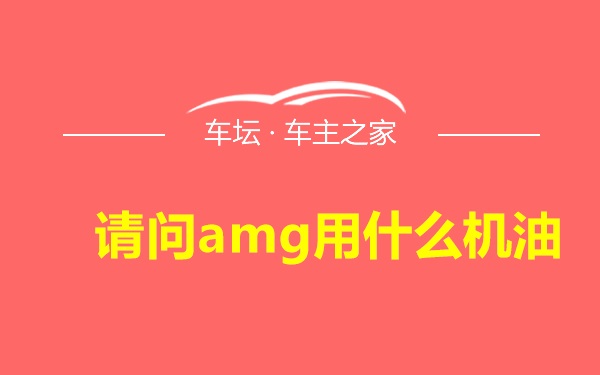 请问amg用什么机油