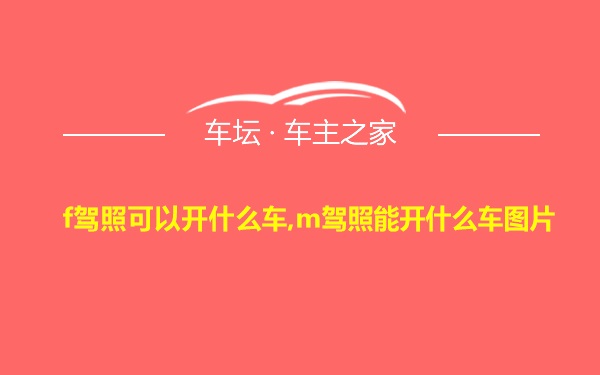 f驾照可以开什么车,m驾照能开什么车图片