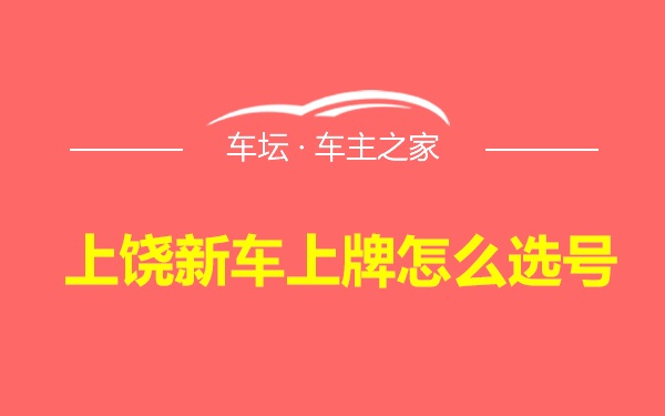 上饶新车上牌怎么选号