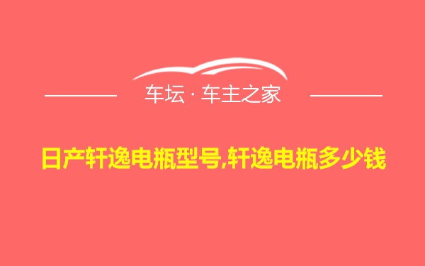 日产轩逸电瓶型号,轩逸电瓶多少钱