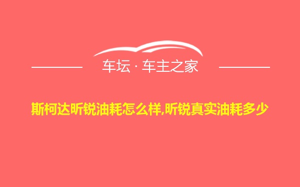 斯柯达昕锐油耗怎么样,昕锐真实油耗多少