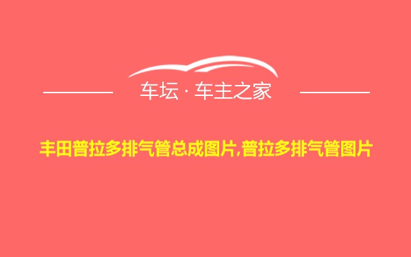 丰田普拉多排气管总成图片,普拉多排气管图片