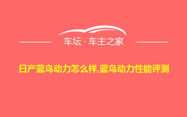 日产蓝鸟动力怎么样,蓝鸟动力性能评测