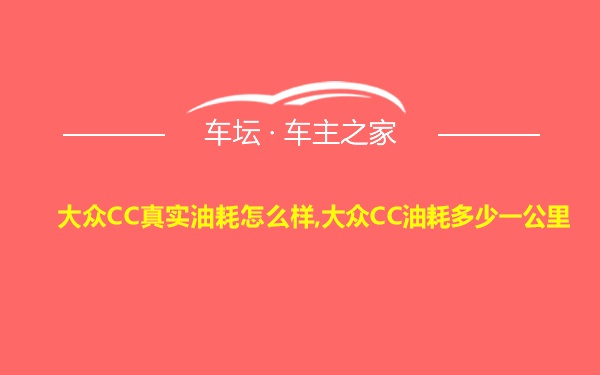 大众CC真实油耗怎么样,大众CC油耗多少一公里