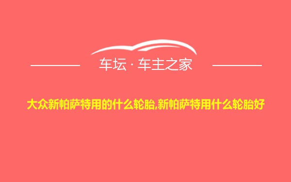 大众新帕萨特用的什么轮胎,新帕萨特用什么轮胎好