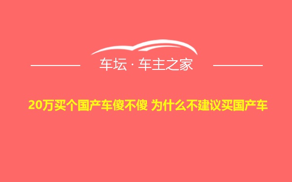 20万买个国产车傻不傻 为什么不建议买国产车