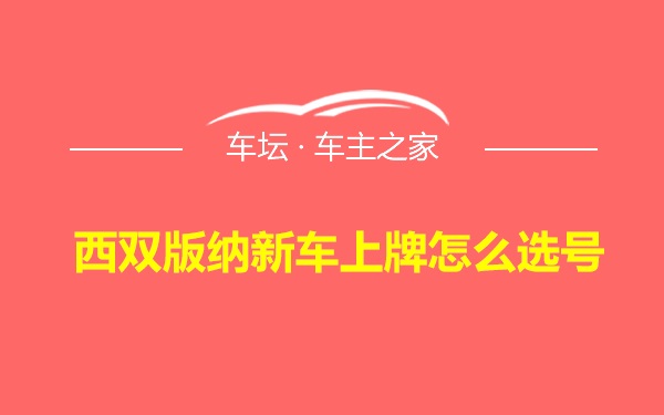 西双版纳新车上牌怎么选号