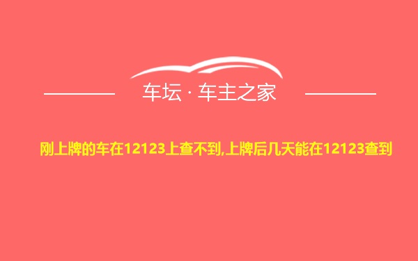 刚上牌的车在12123上查不到,上牌后几天能在12123查到