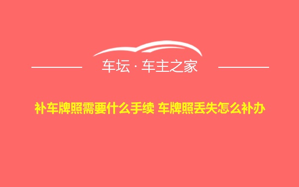 补车牌照需要什么手续 车牌照丢失怎么补办