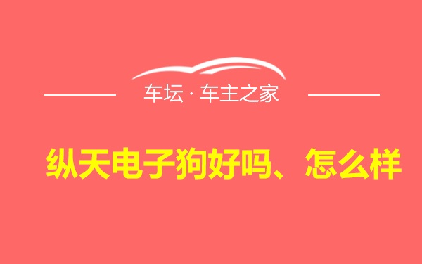 纵天电子狗好吗、怎么样