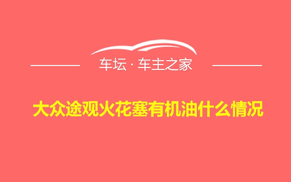 大众途观火花塞有机油什么情况