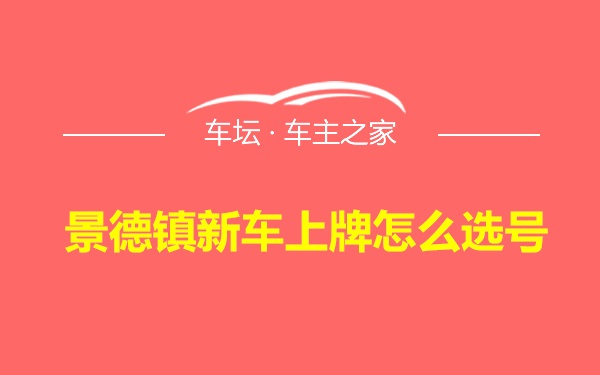 景德镇新车上牌怎么选号