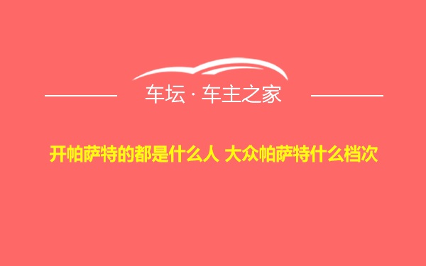 开帕萨特的都是什么人 大众帕萨特什么档次