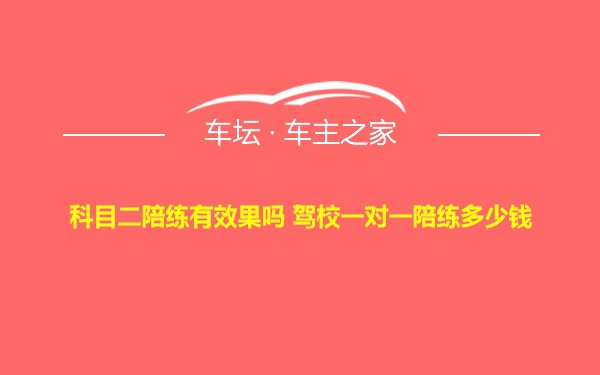 科目二陪练有效果吗 驾校一对一陪练多少钱