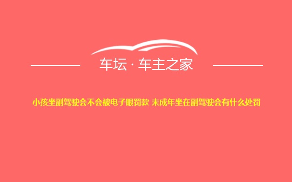 小孩坐副驾驶会不会被电子眼罚款 未成年坐在副驾驶会有什么处罚