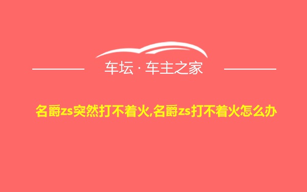 名爵zs突然打不着火,名爵zs打不着火怎么办