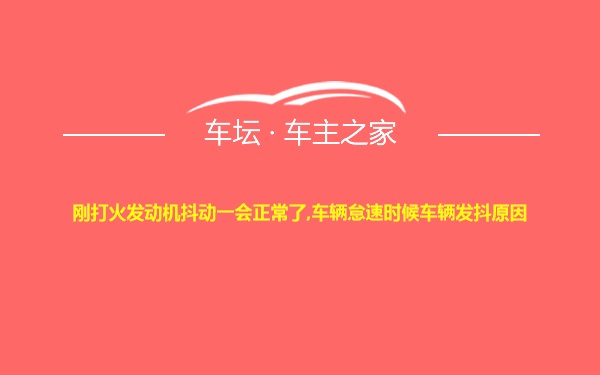 刚打火发动机抖动一会正常了,车辆怠速时候车辆发抖原因