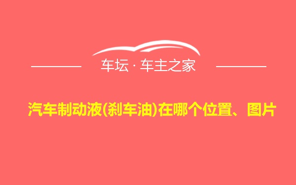 汽车制动液(刹车油)在哪个位置、图片