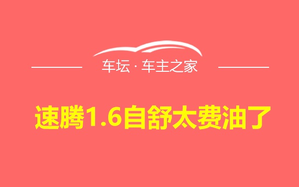 速腾1.6自舒太费油了