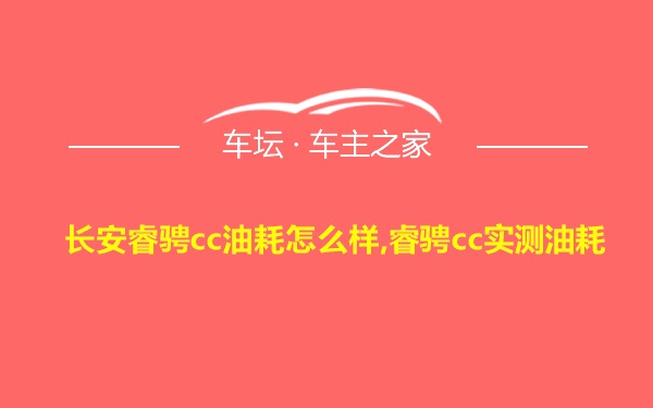 长安睿骋cc油耗怎么样,睿骋cc实测油耗