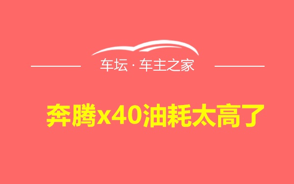 奔腾x40油耗太高了