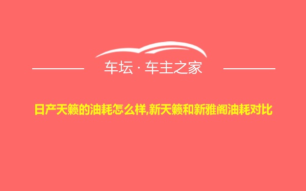 日产天籁的油耗怎么样,新天籁和新雅阁油耗对比