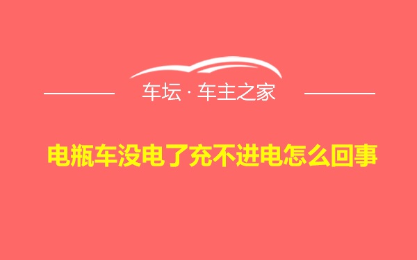 电瓶车没电了充不进电怎么回事