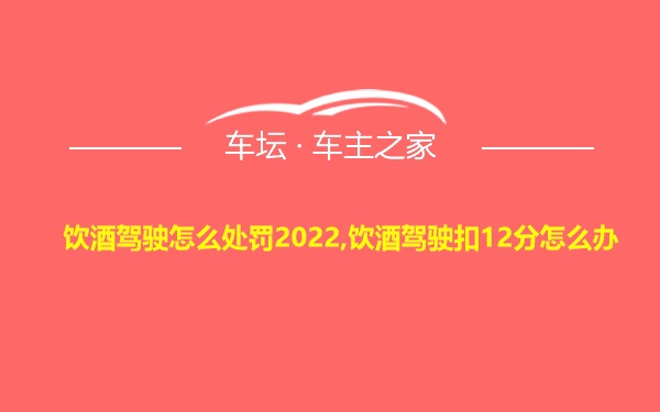 饮酒驾驶怎么处罚2022,饮酒驾驶扣12分怎么办