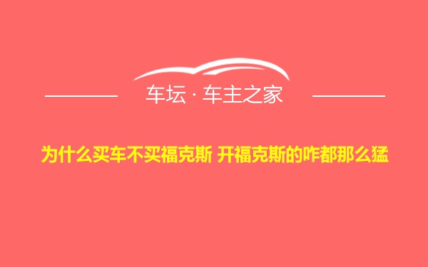 为什么买车不买福克斯 开福克斯的咋都那么猛