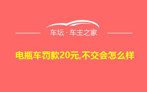 电瓶车罚款20元,不交会怎么样