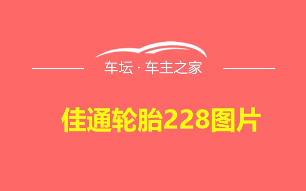 佳通轮胎228图片