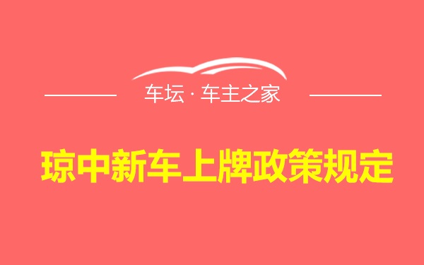 琼中新车上牌政策规定