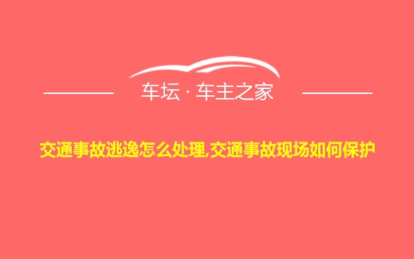 交通事故逃逸怎么处理,交通事故现场如何保护