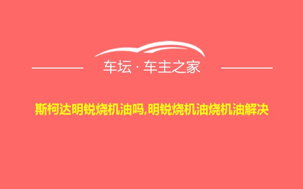 斯柯达明锐烧机油吗,明锐烧机油烧机油解决