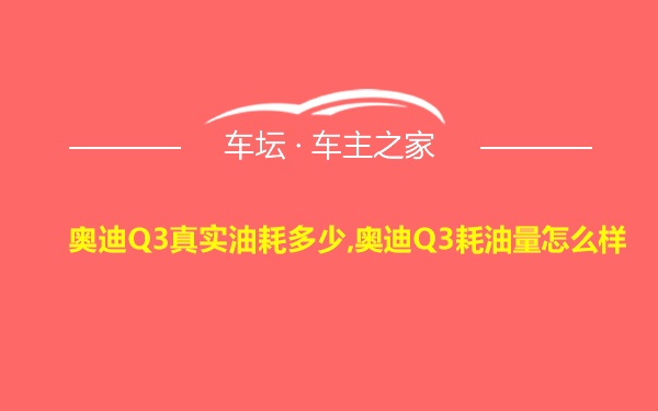 奥迪Q3真实油耗多少,奥迪Q3耗油量怎么样